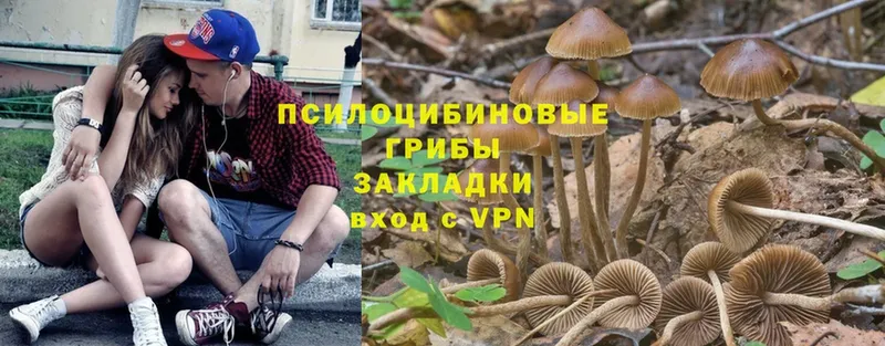 Псилоцибиновые грибы мухоморы  Алатырь 